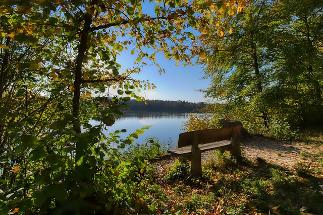 疑是本届赛 疑是本届赛