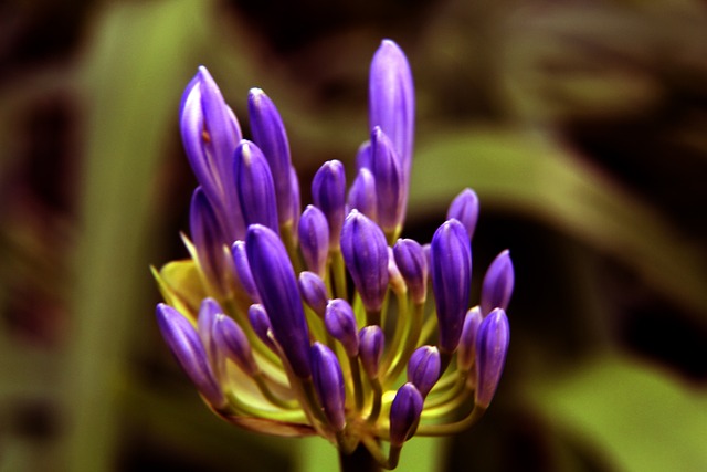 两人将迎来 两人将迎来