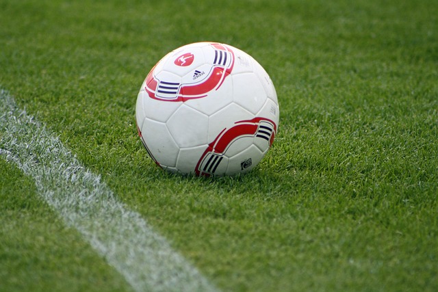 僅讓南野在 僅讓南野在