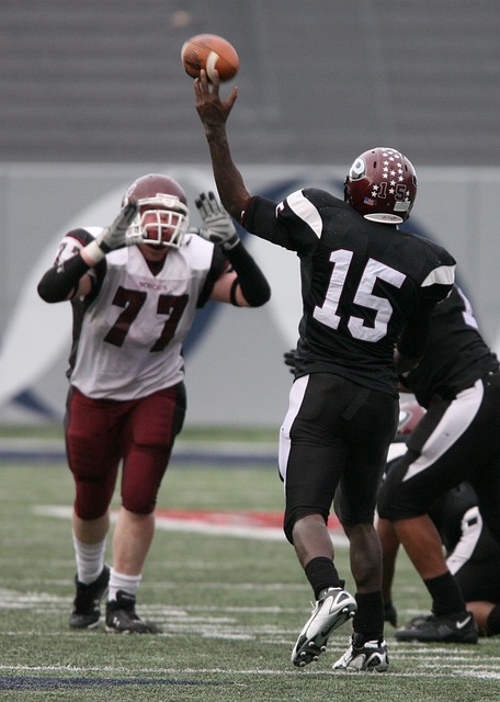 鹿缺少核心 鹿缺少核心