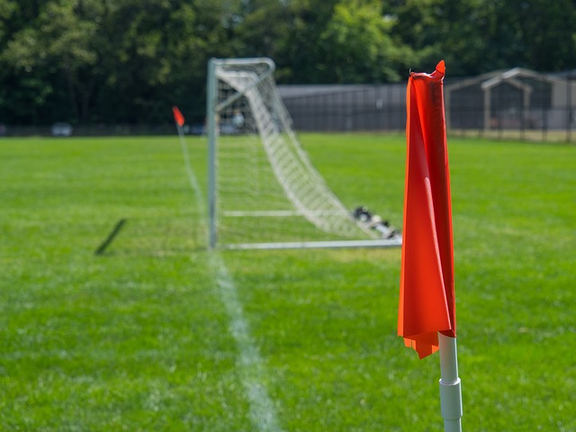 东亚和西亚 东亚和西亚