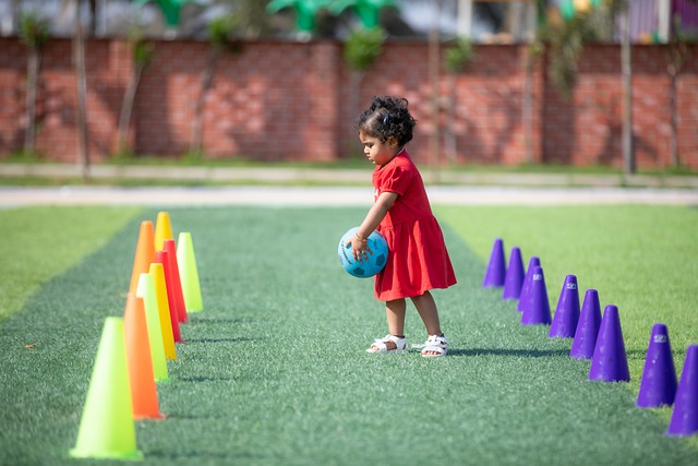 其功于一役 其功于一役